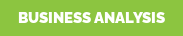 Business Analysis